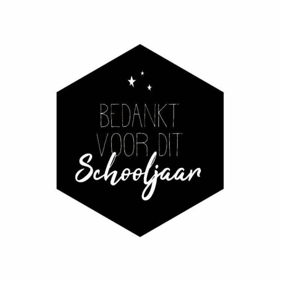 Sticker zeshoek (5 stuks) | 'Bedankt-voor-dit-schooljaar'