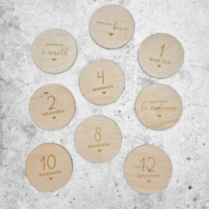 Alternative view of Mijlpaal cirkels | eerste jaar | Fries